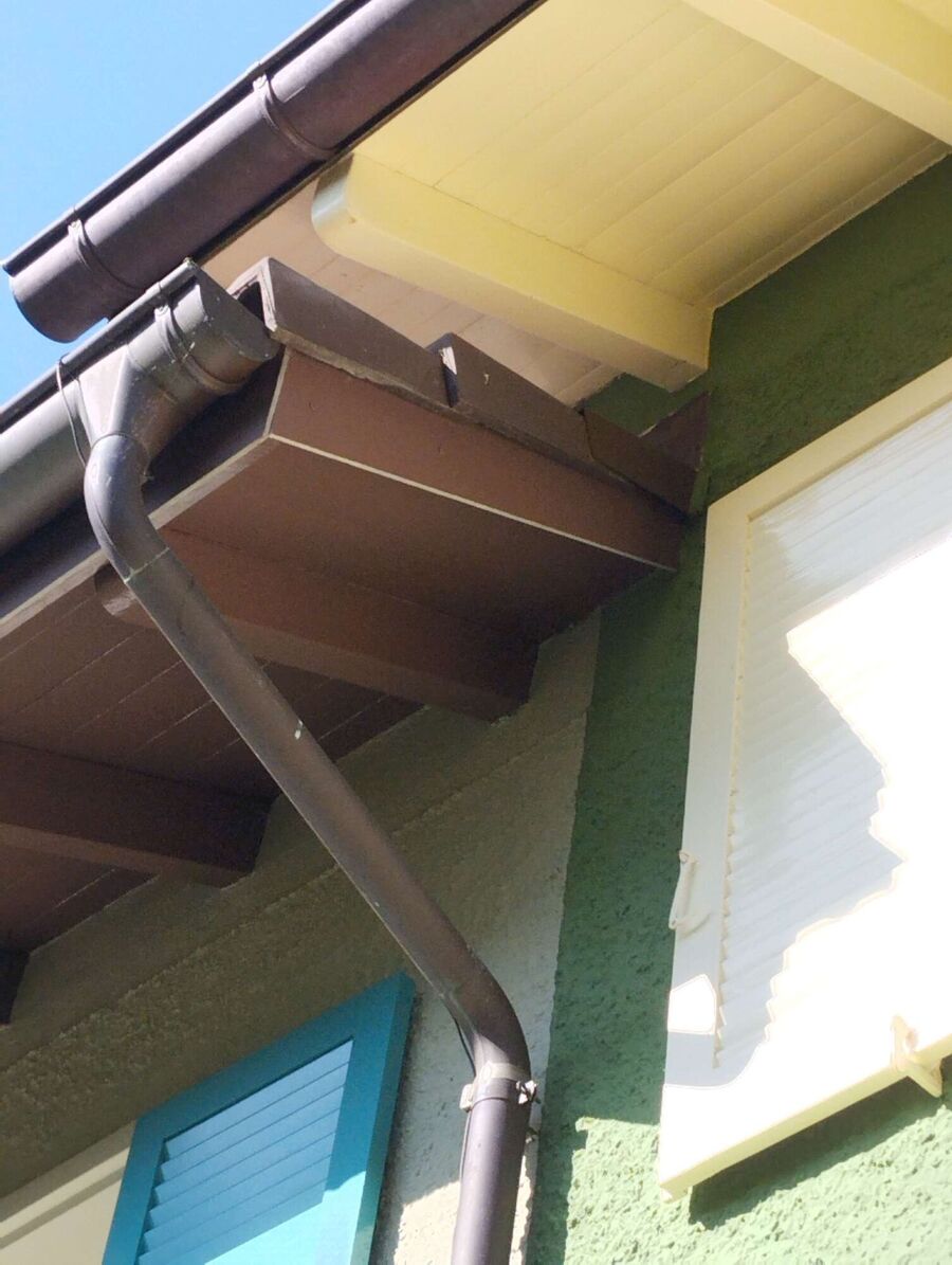 Bee nest at the house remove