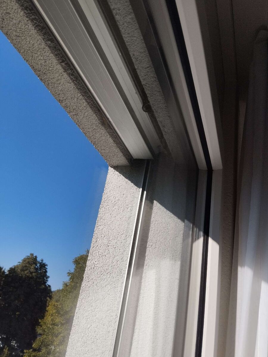 Relocate bees & remove bee nest