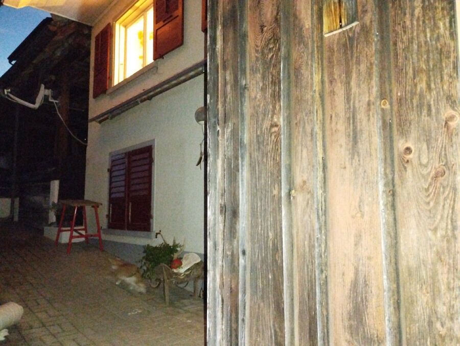 Bee nest at the house remove