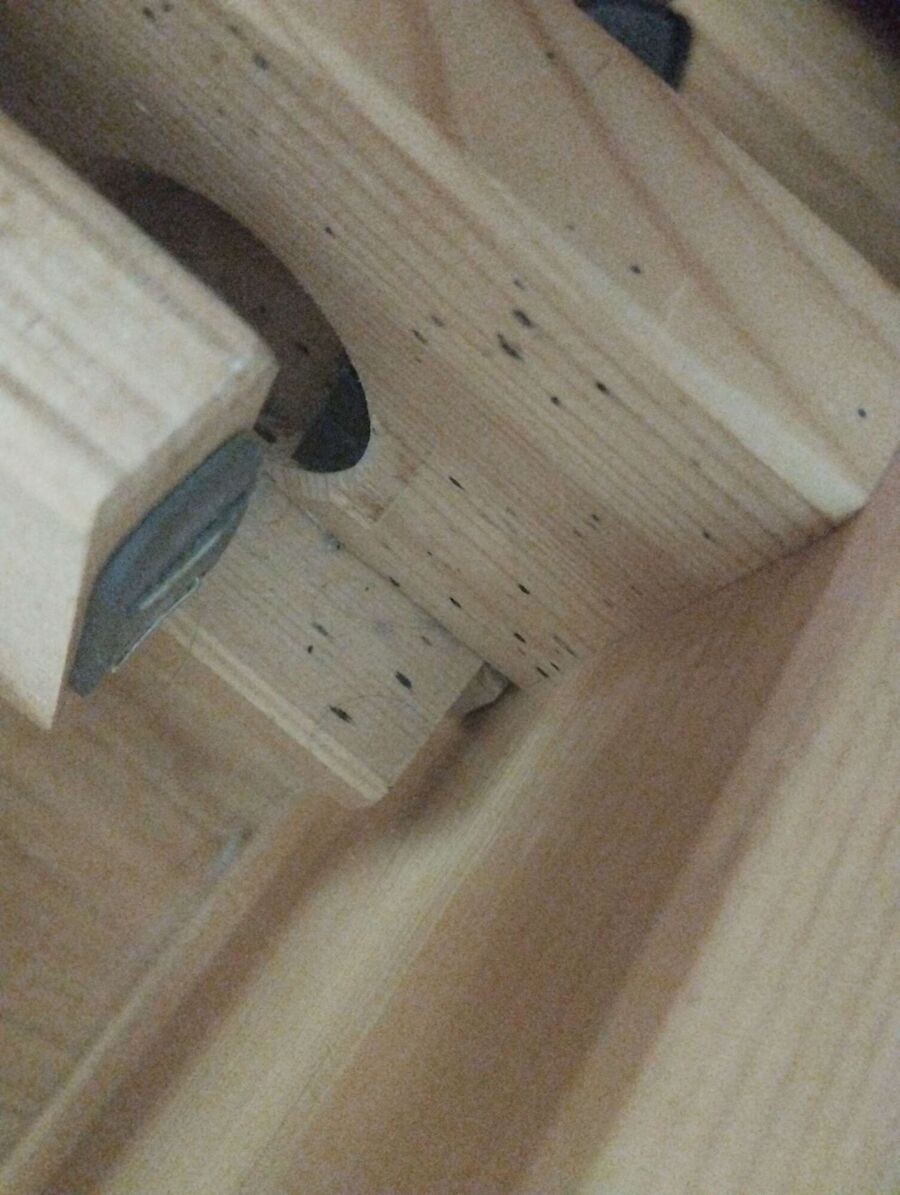 Bee nest at the house remove