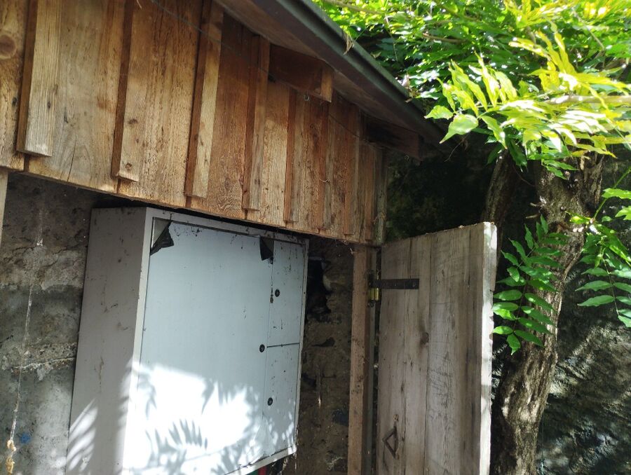 Bee nest at the house remove