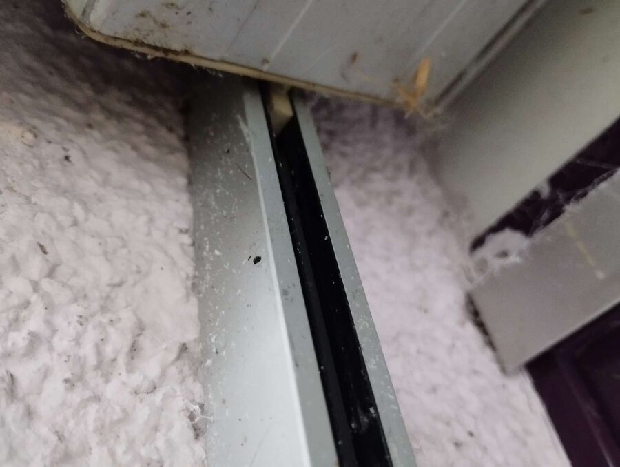 Bee nest at the house remove