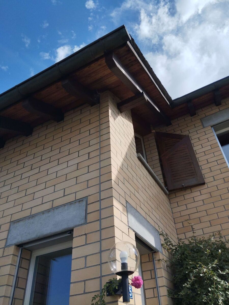 Bee nest at the house remove