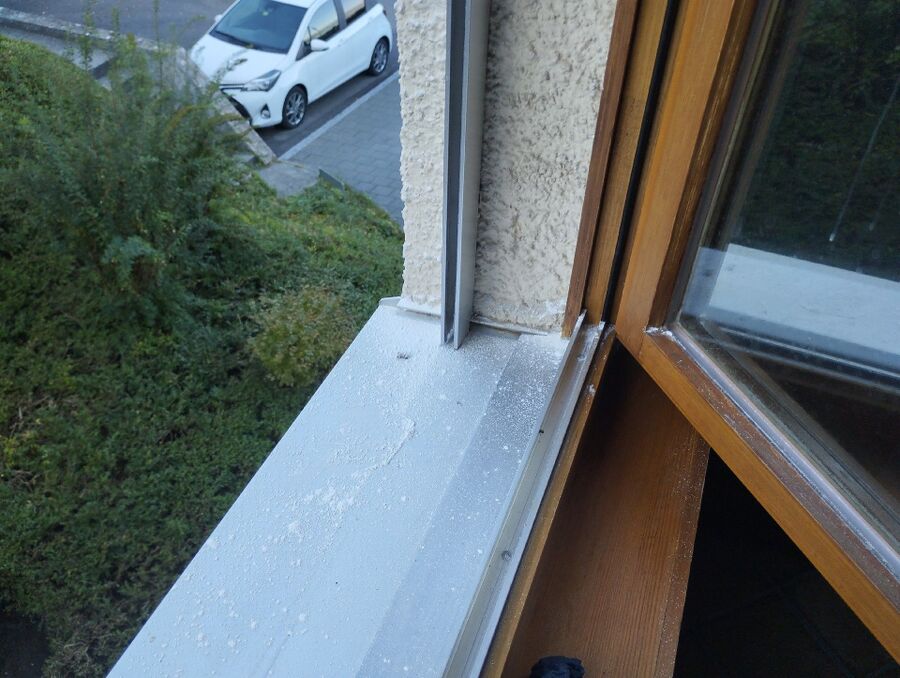 Bee nest at the house remove