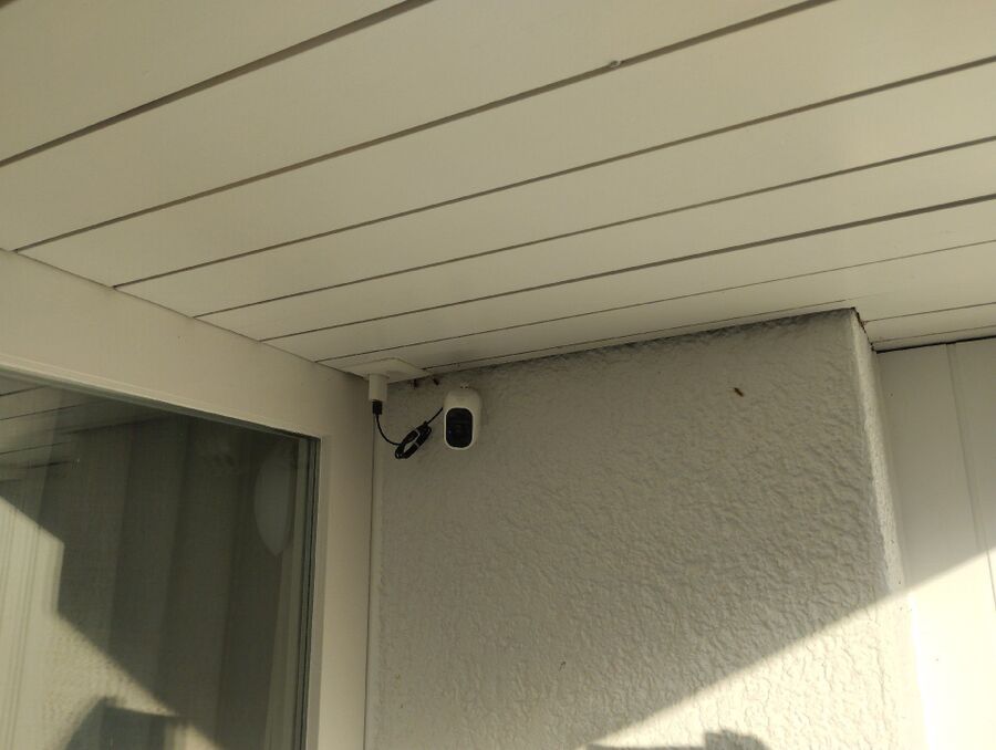 Bee nest at the house remove