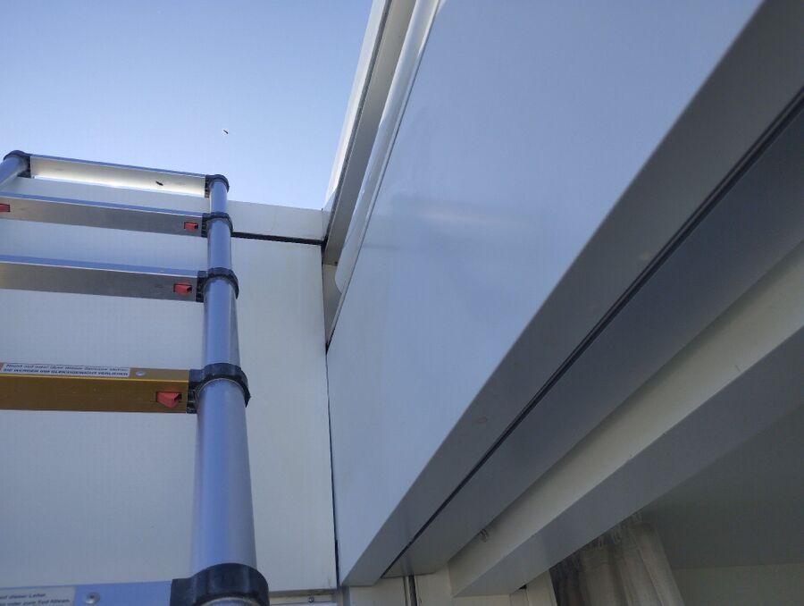 Relocate bees & remove bee nest