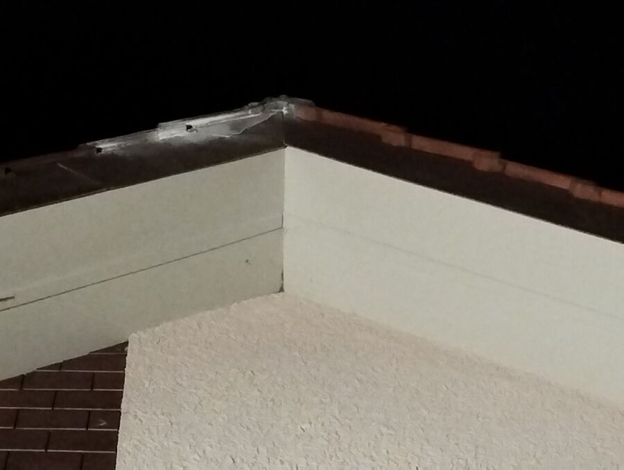 Bee nest at the house remove