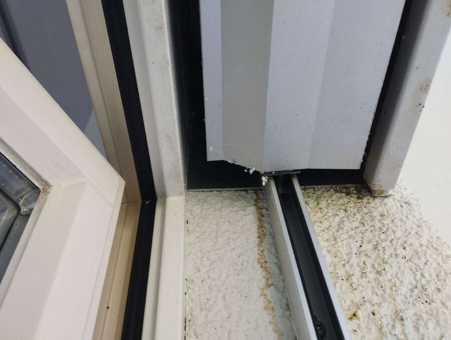 Bee nest at the house remove