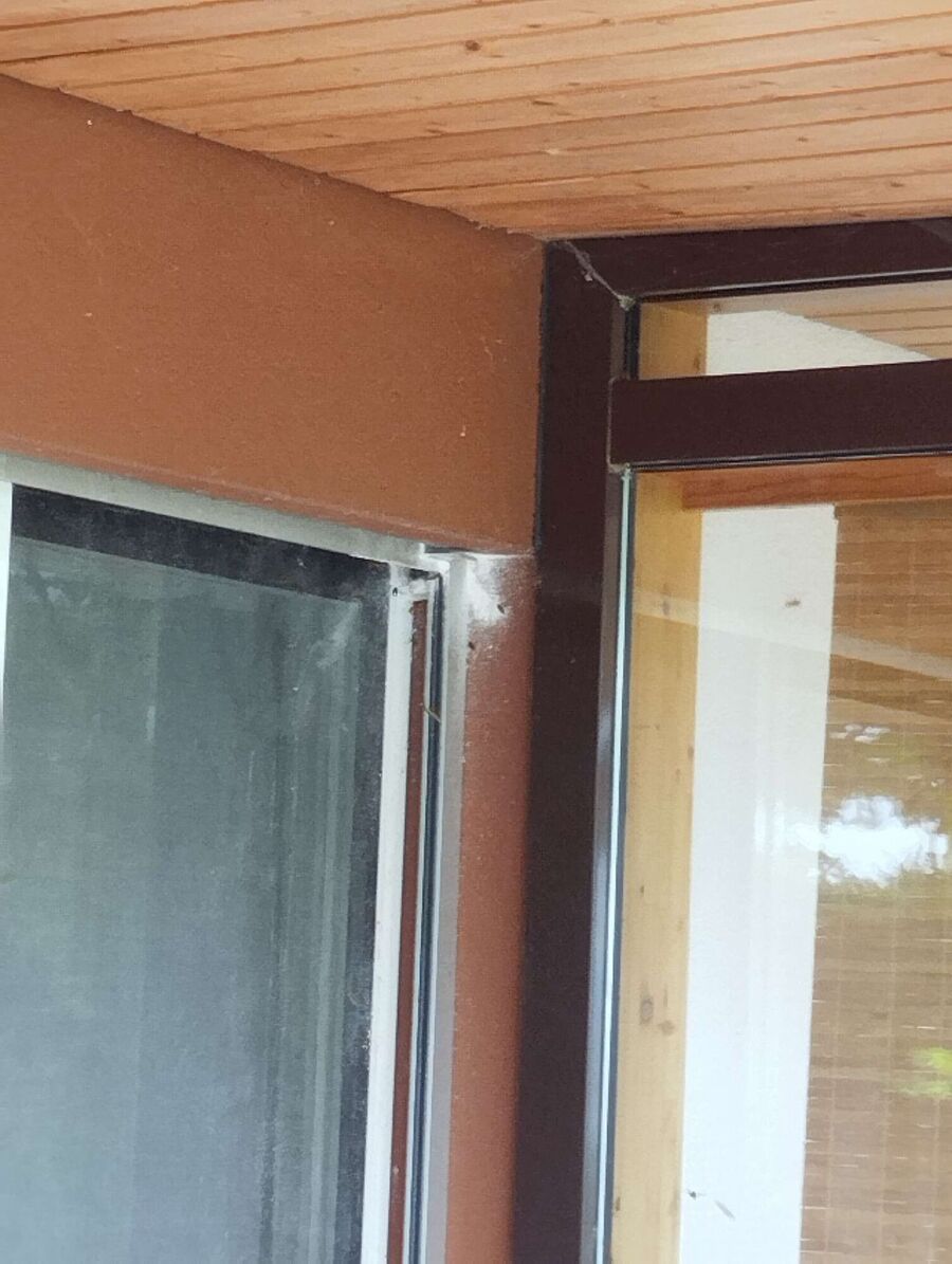 Bee nest at the house remove