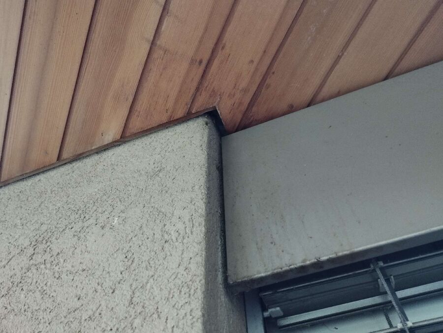 Bee nest at the house remove