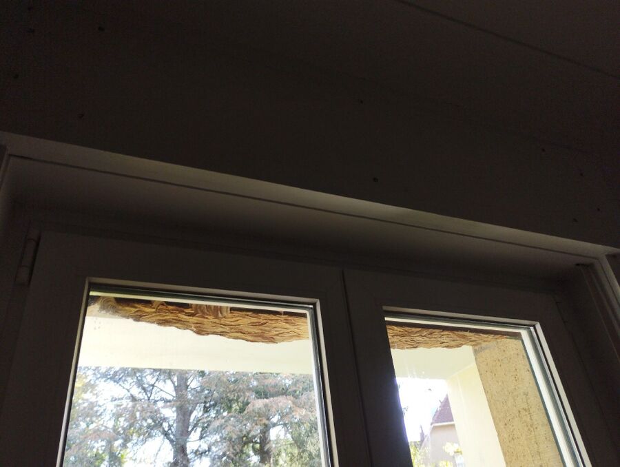 Bee nest at the house remove