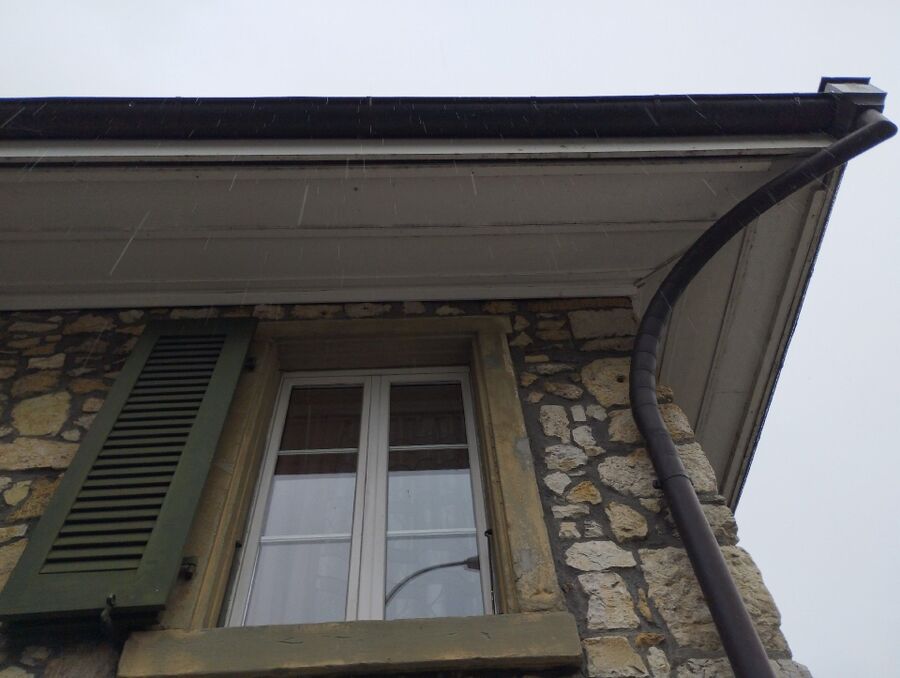 Bee nest at the house remove