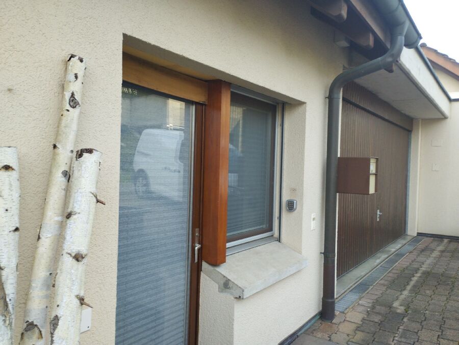 Relocate bees & remove bee nest