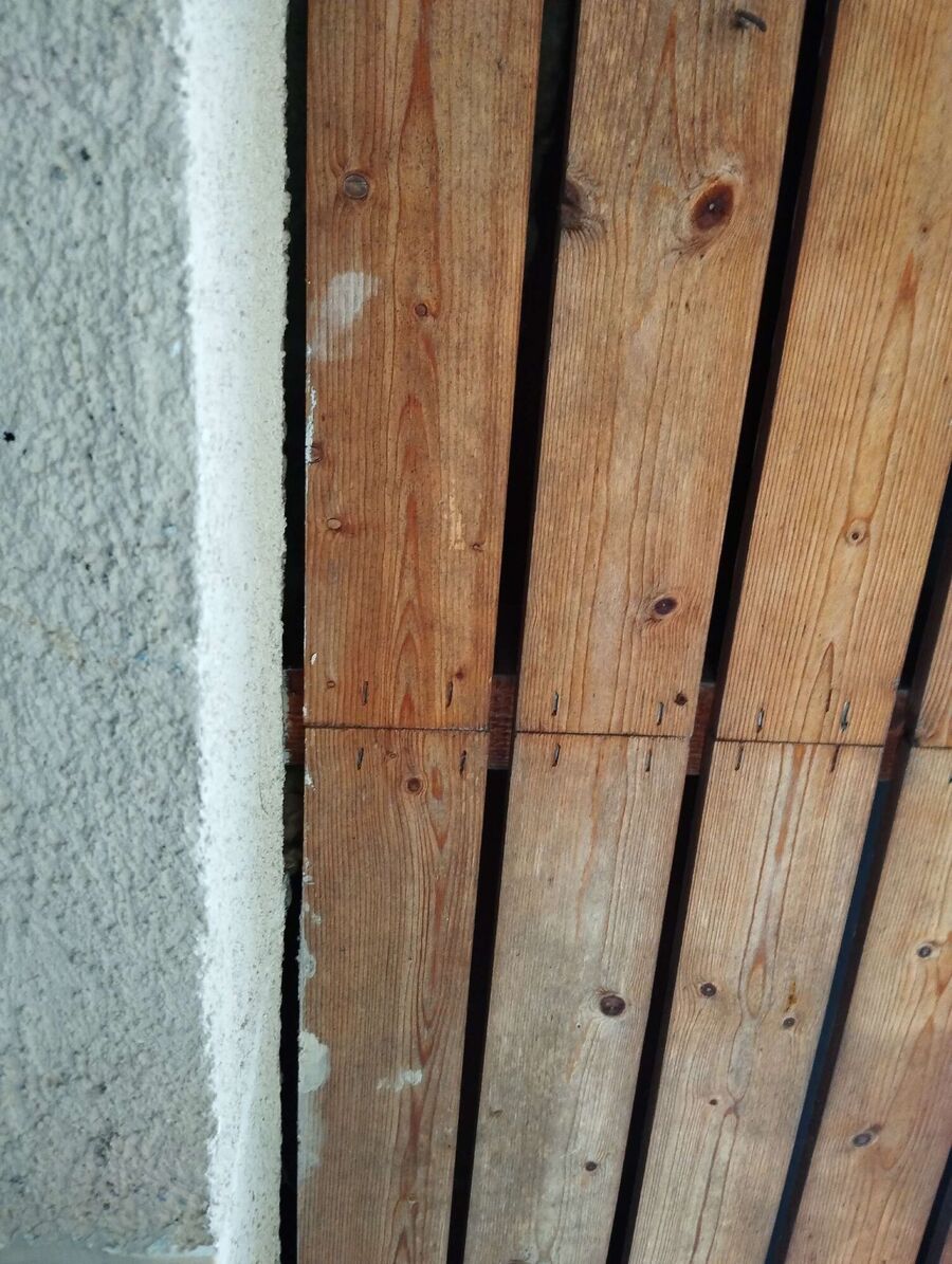 Relocate bees & remove bee nest