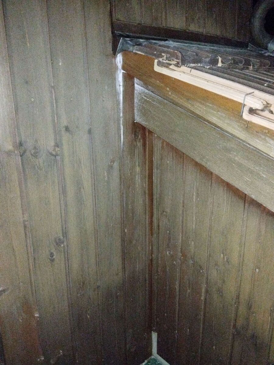 Bee nest at the house remove