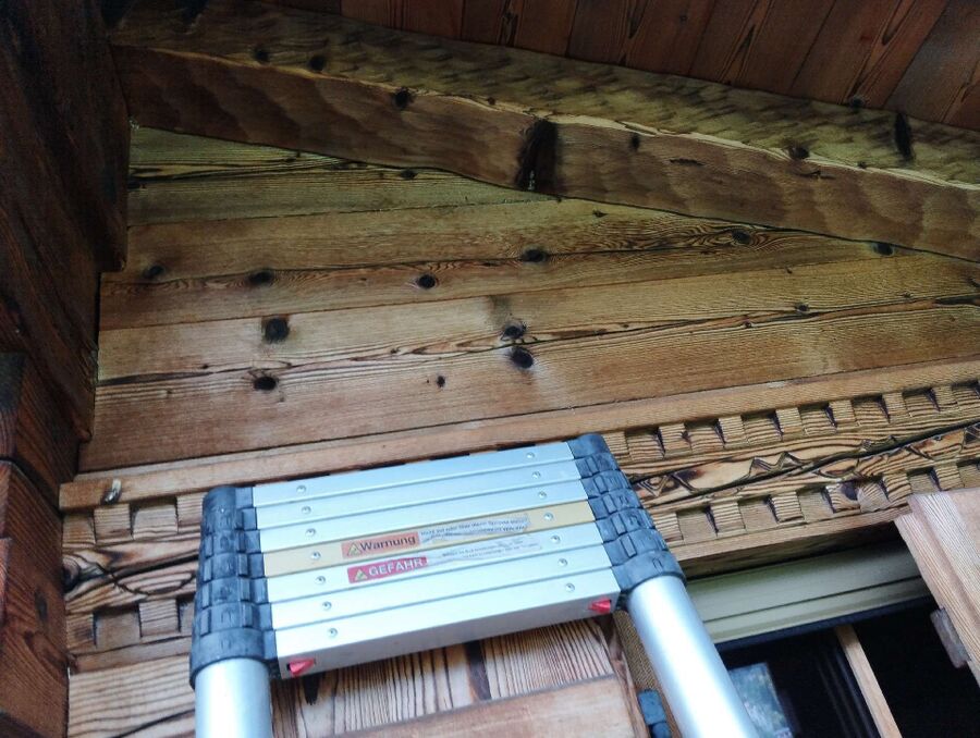 Relocate bees & remove bee nest