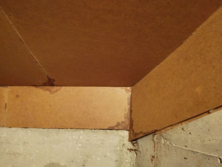 Bee nest at the house remove