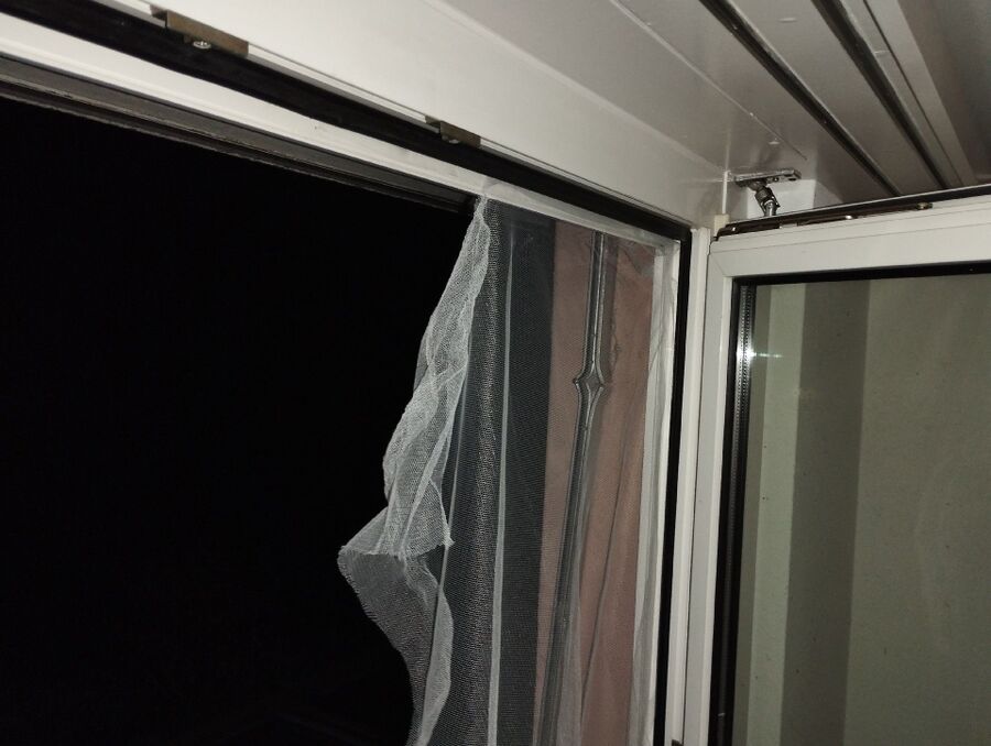 Bee nest at the house remove