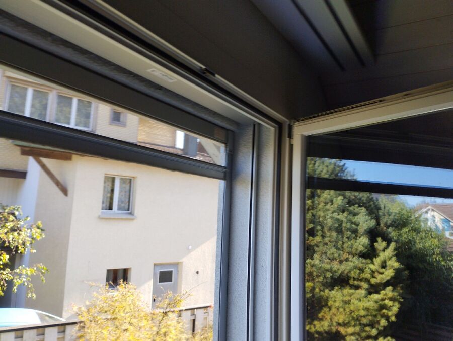 Relocate bees & remove bee nest