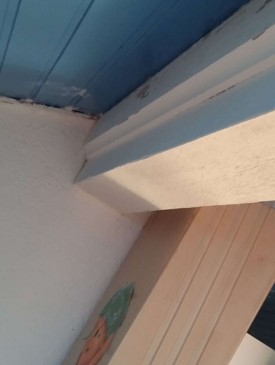 Bee nest at the house remove