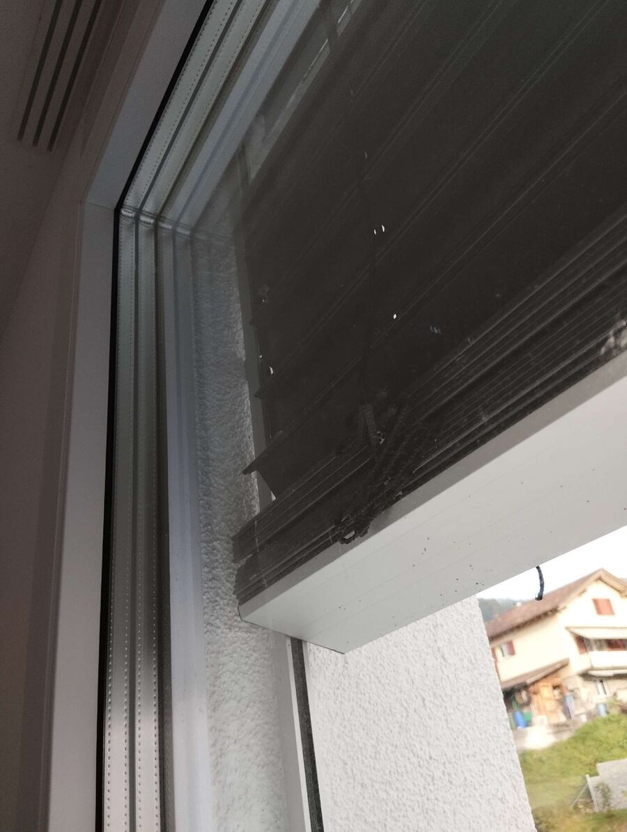 Bee nest at the house remove