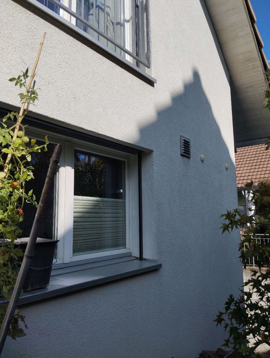 Relocate bees & remove bee nest