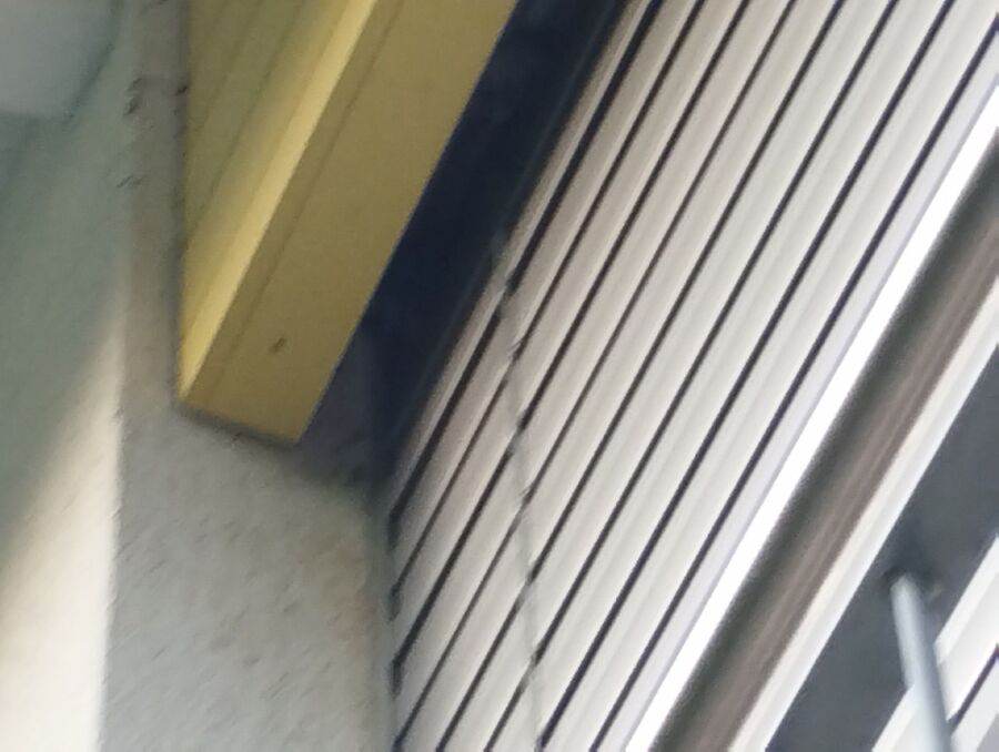 Bee nest at the house remove