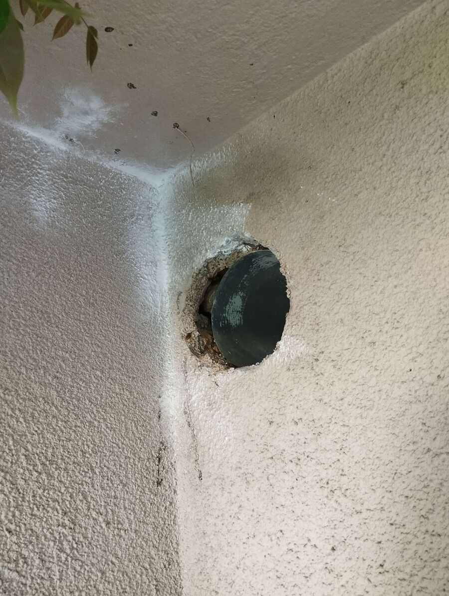 Relocate bees & remove bee nest