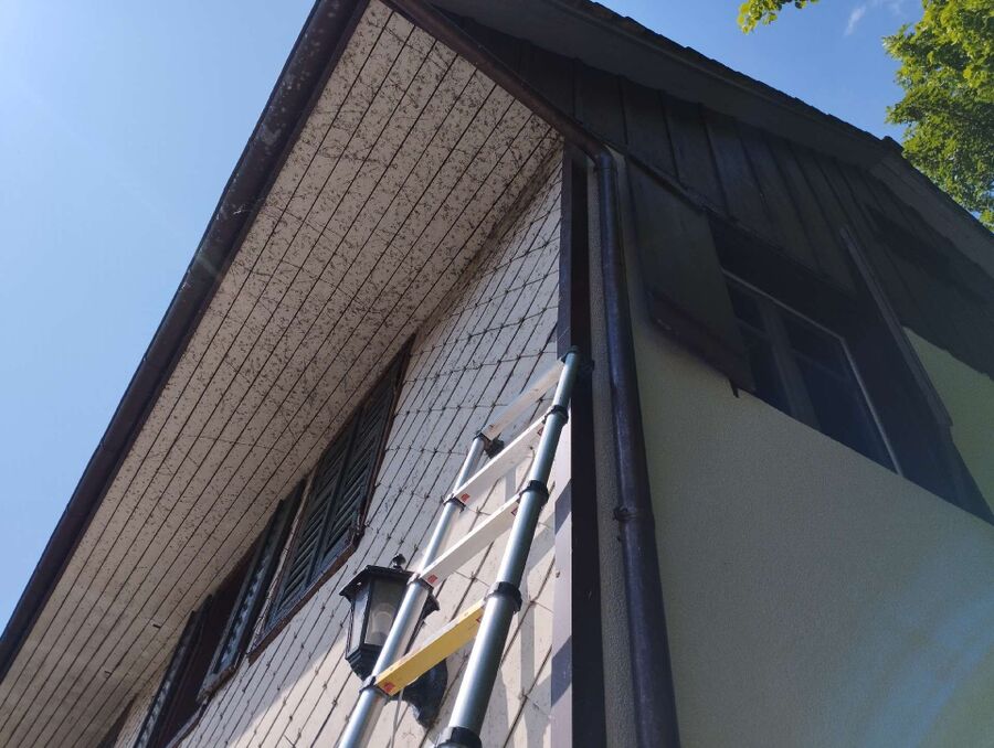 Bee nest at the house remove