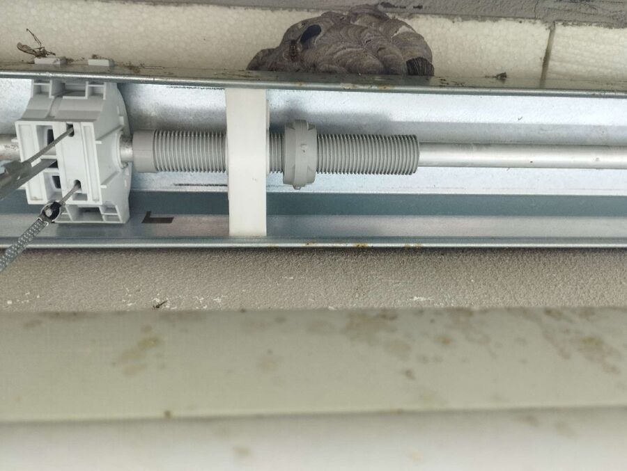 Bee nest at the house remove