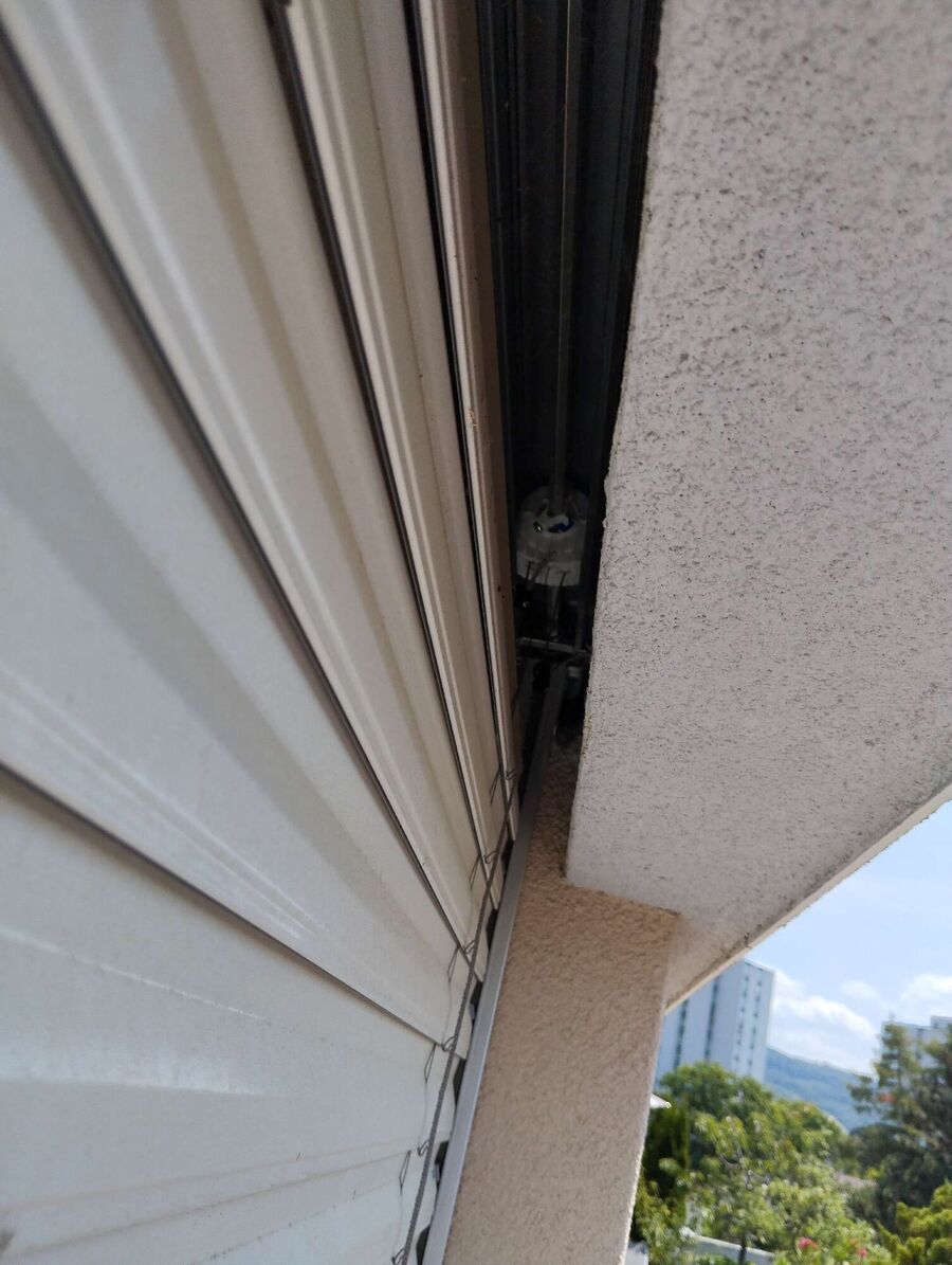 Relocate bees & remove bee nest