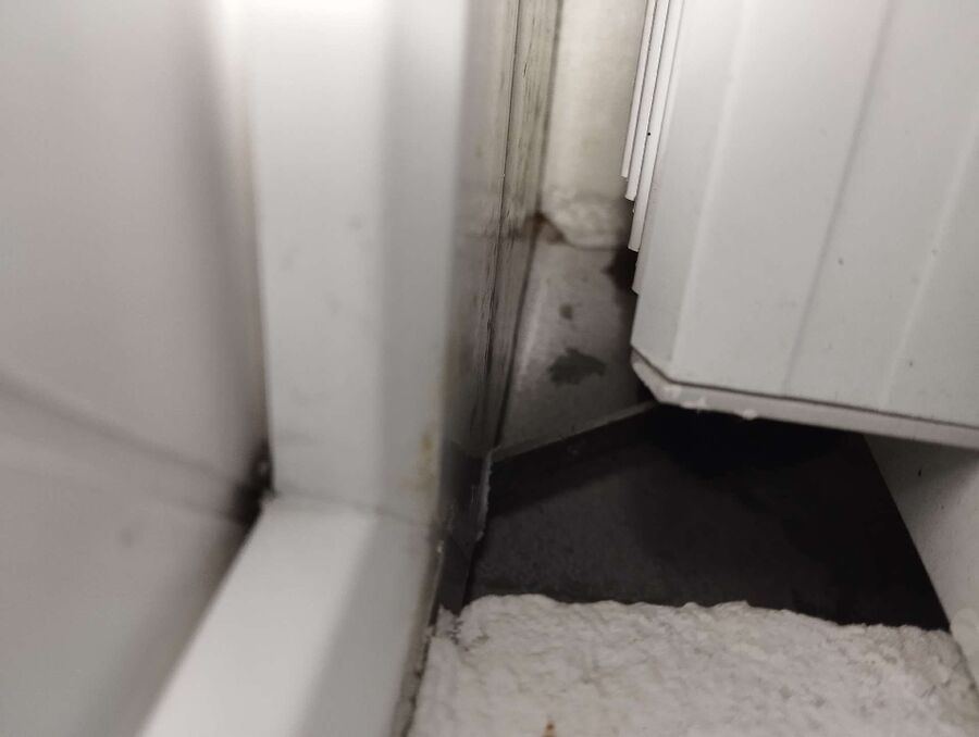 Bee nest at the house remove