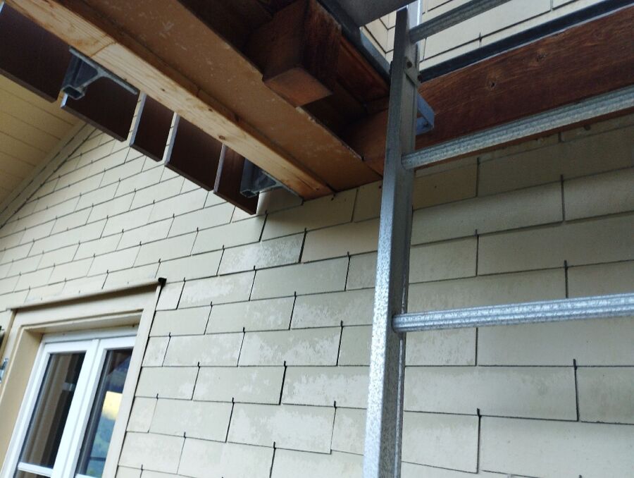 Bee nest at the house remove