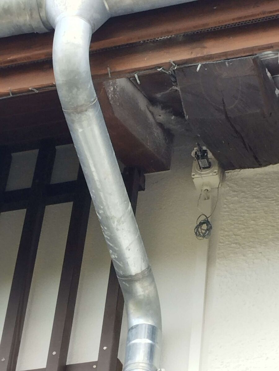 Bee nest at the house remove