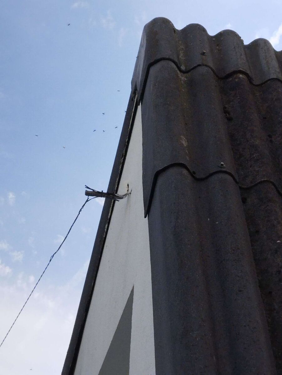 Bee nest at the house remove