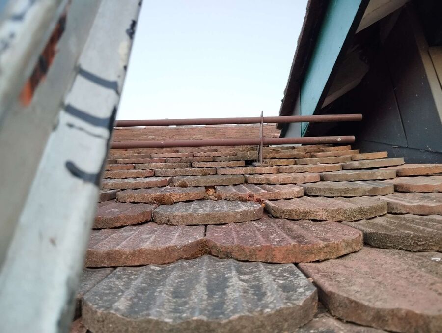 Bee nest at the house remove