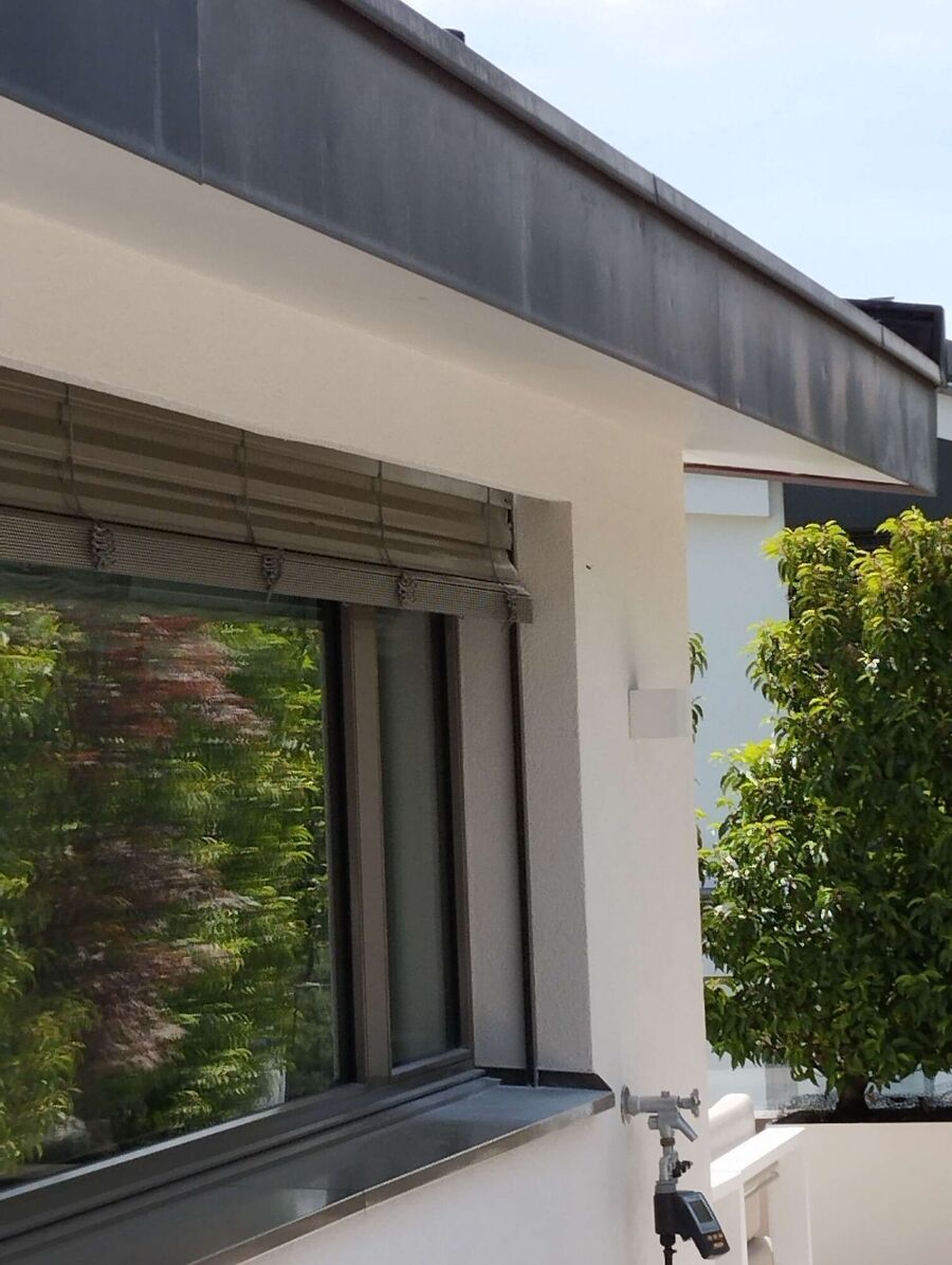 Relocate bees & remove bee nest