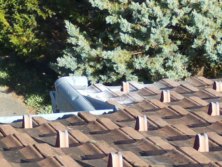 Bee nest at the house remove