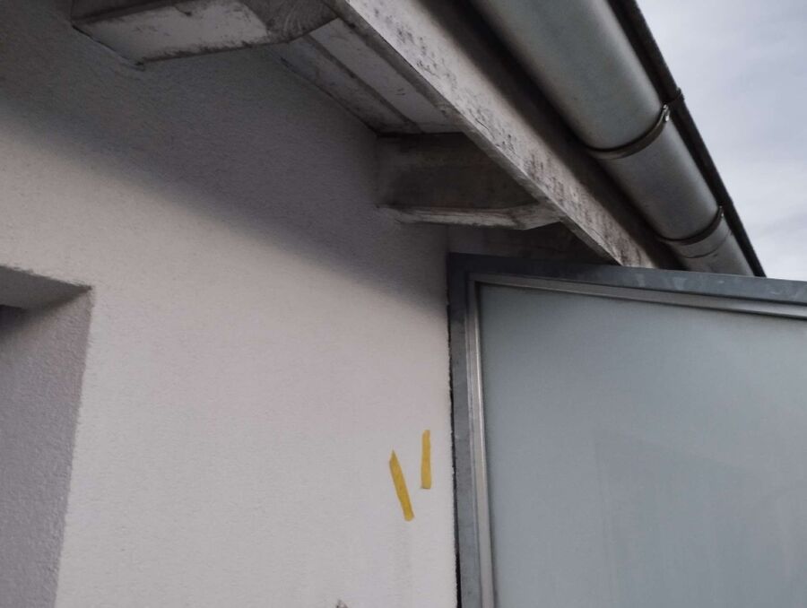 Relocate bees & remove bee nest