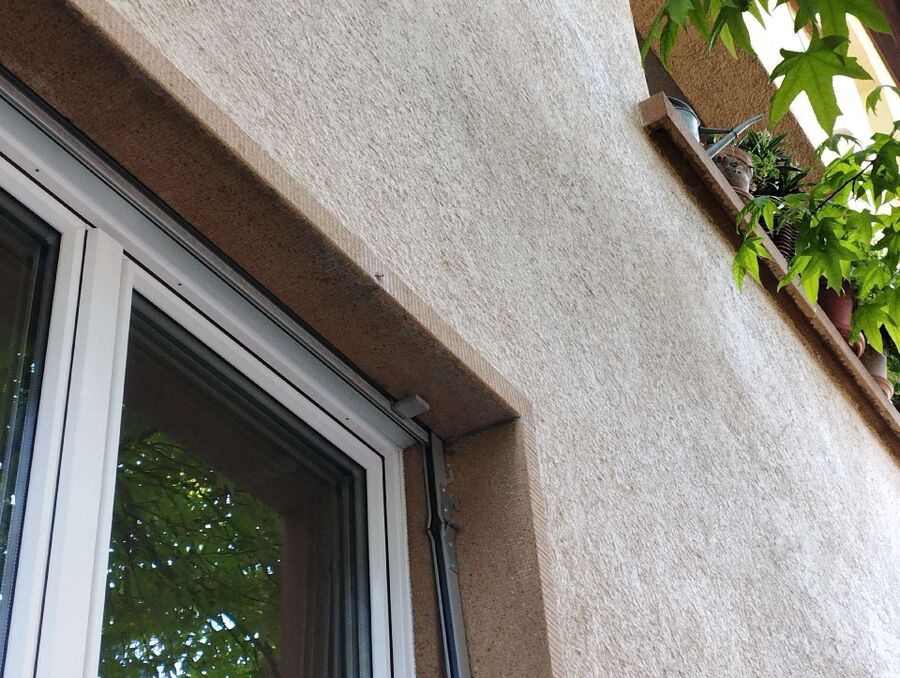 Bee nest at the house remove