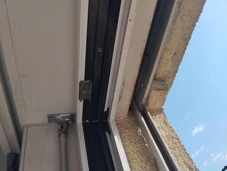 Relocate bees & remove bee nest