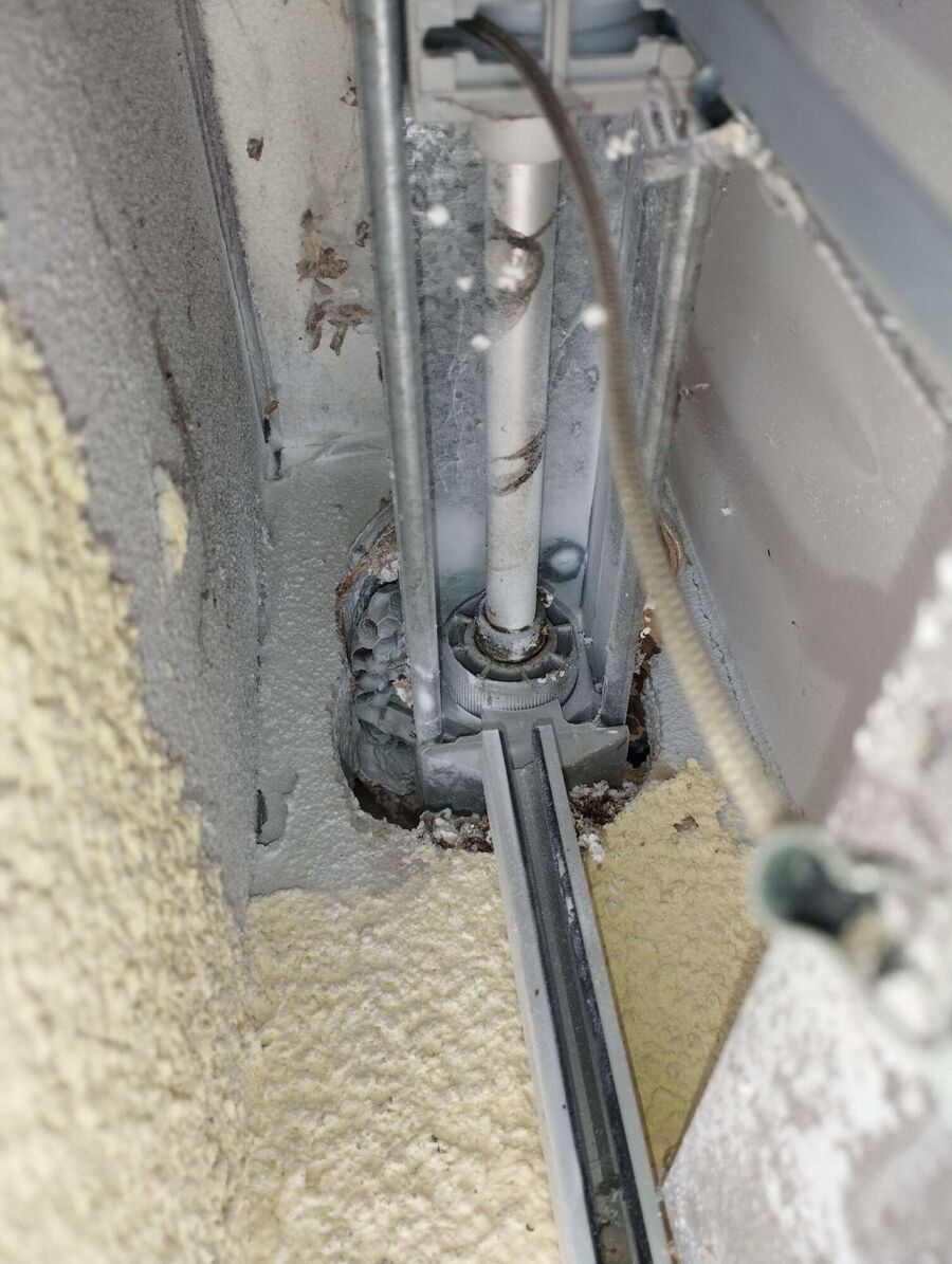 Bee nest at the house remove