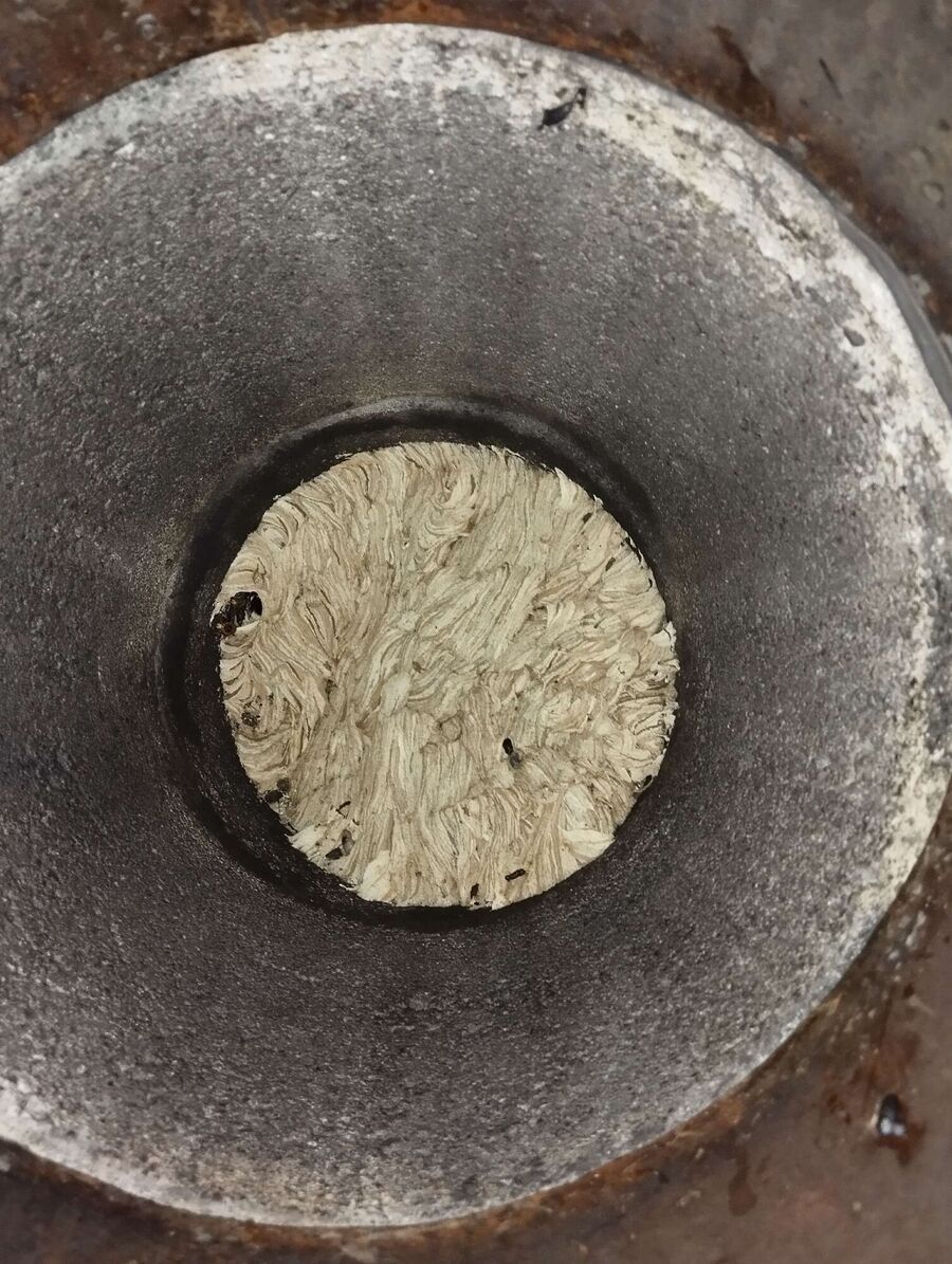 Bee nest at the house remove