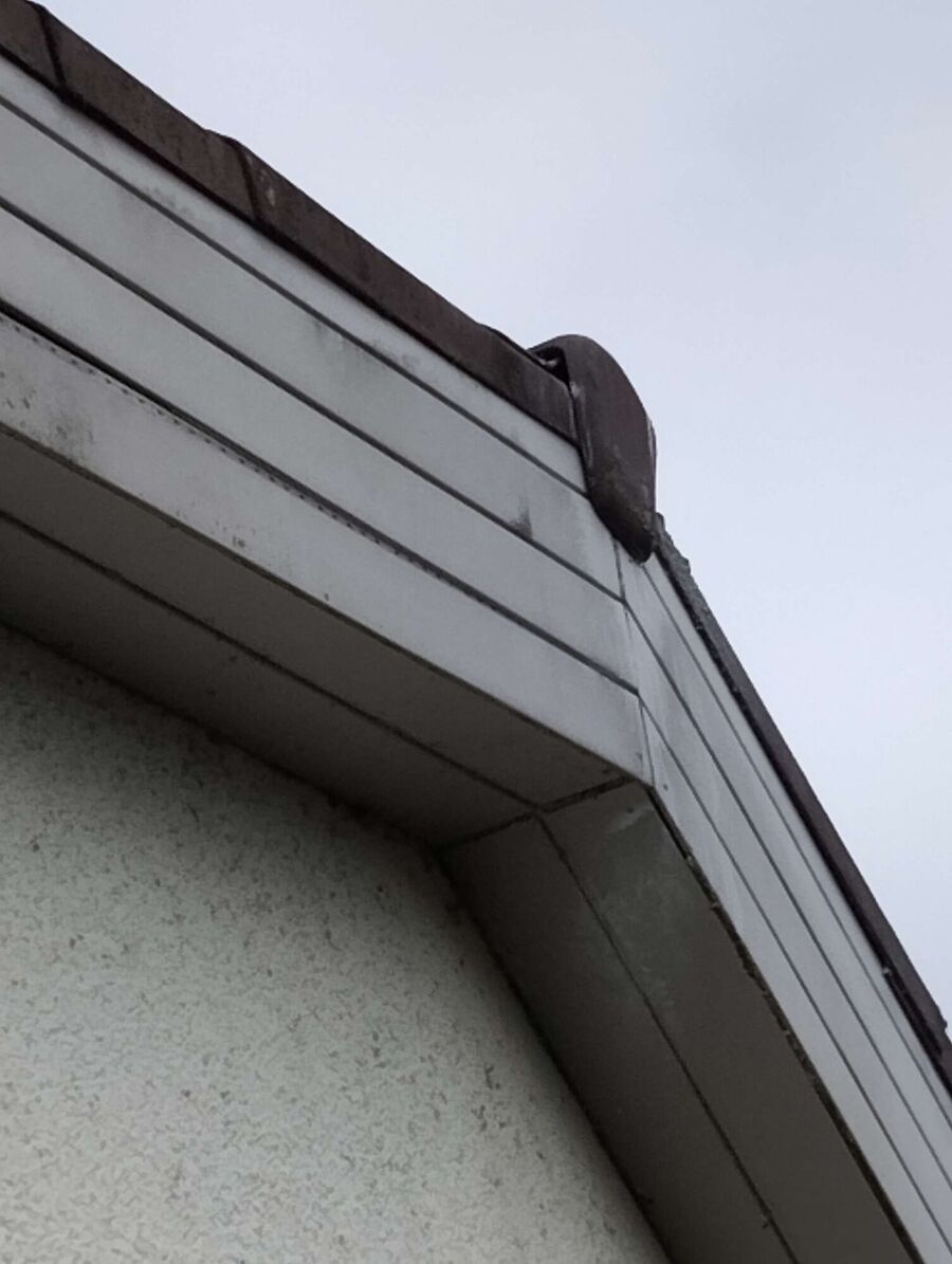 Bee nest at the house remove