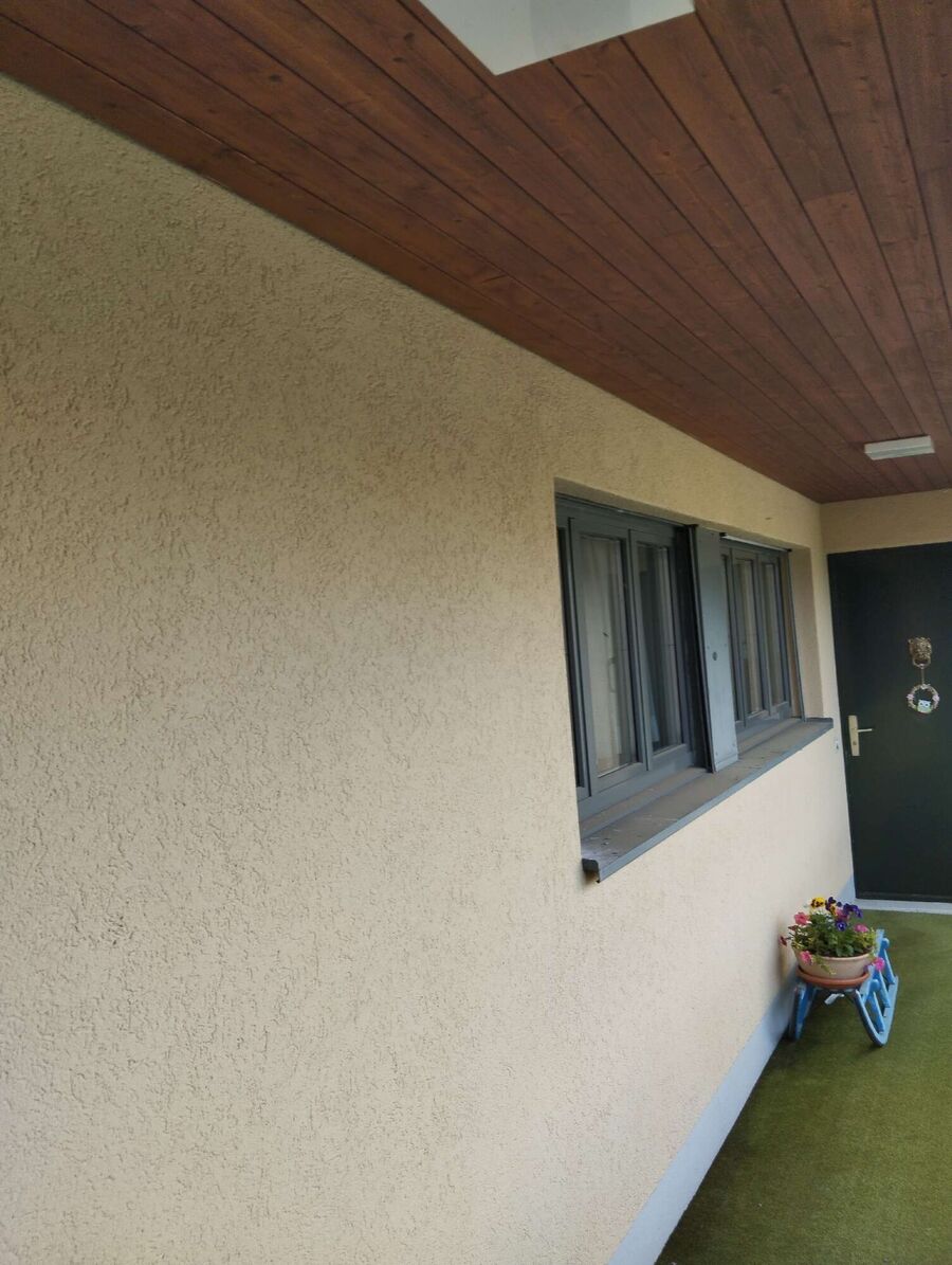 Relocate bees & remove bee nest