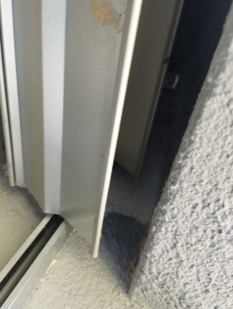 Bee nest at the house remove