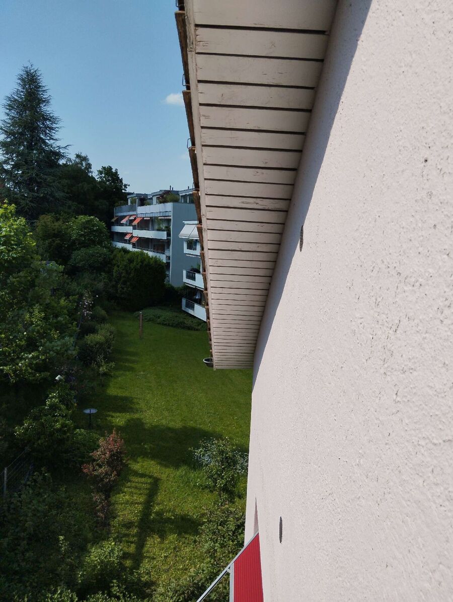 Bee nest at the house remove