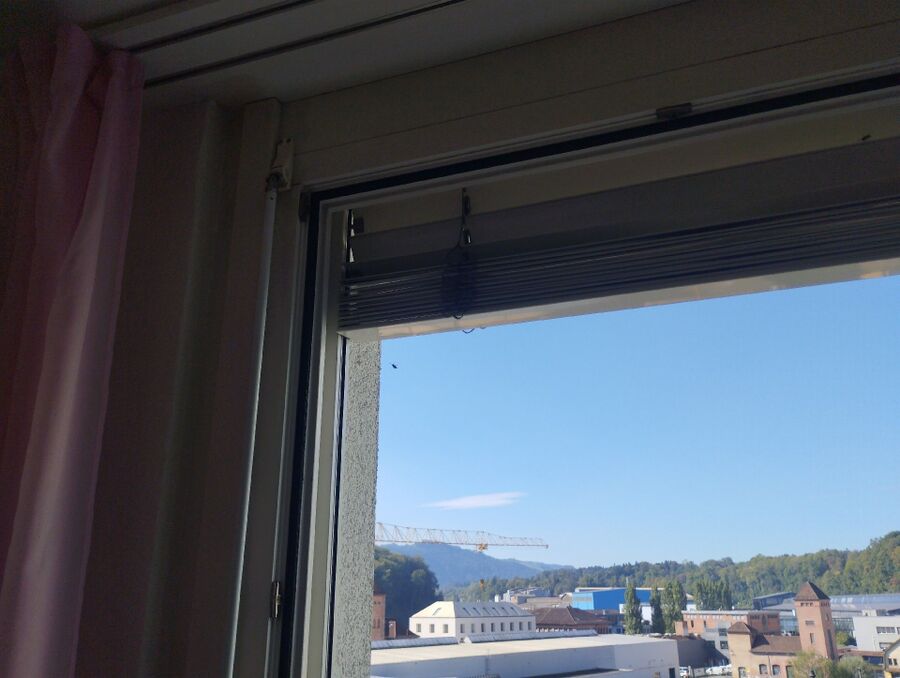 Bee nest at the house remove