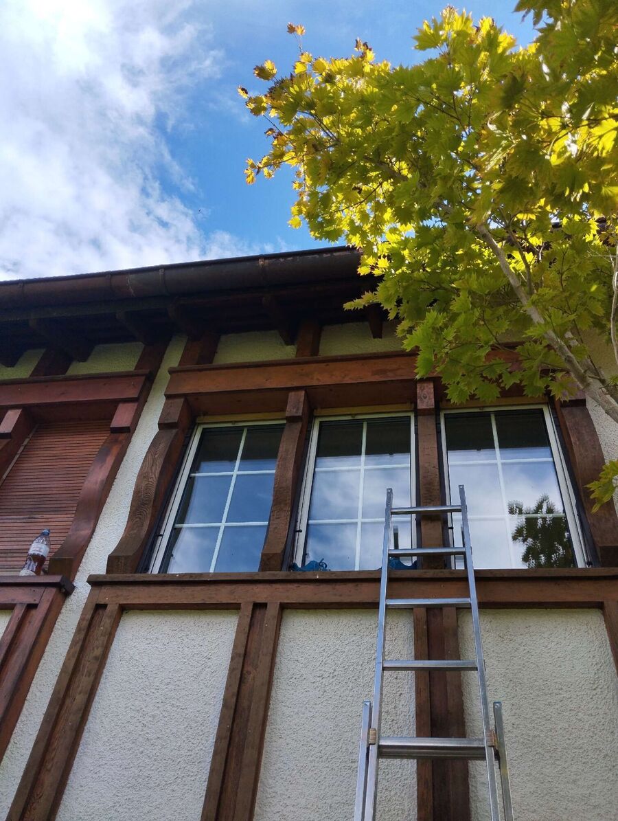 Bee nest at the house remove