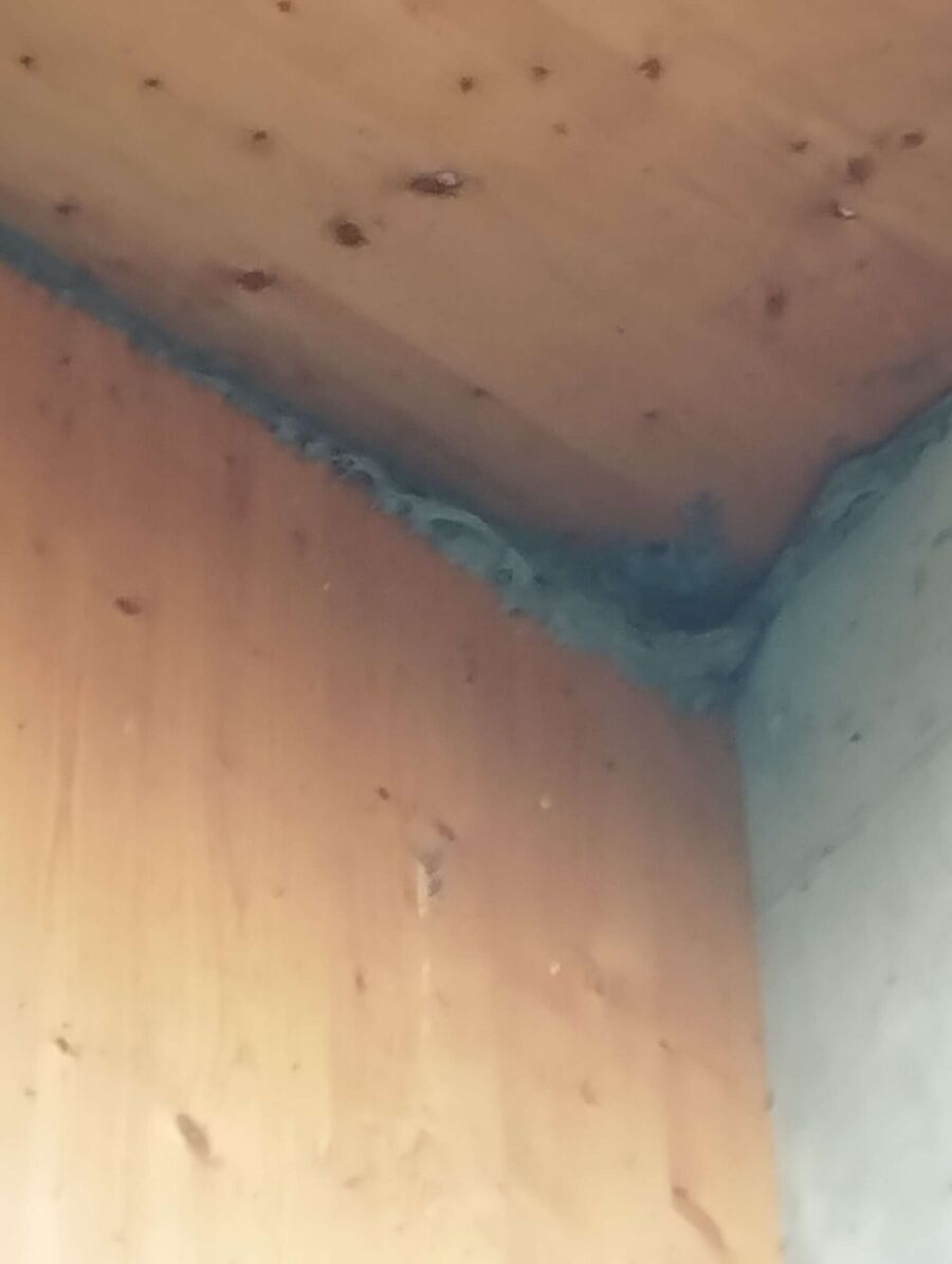 Bee nest at the house remove